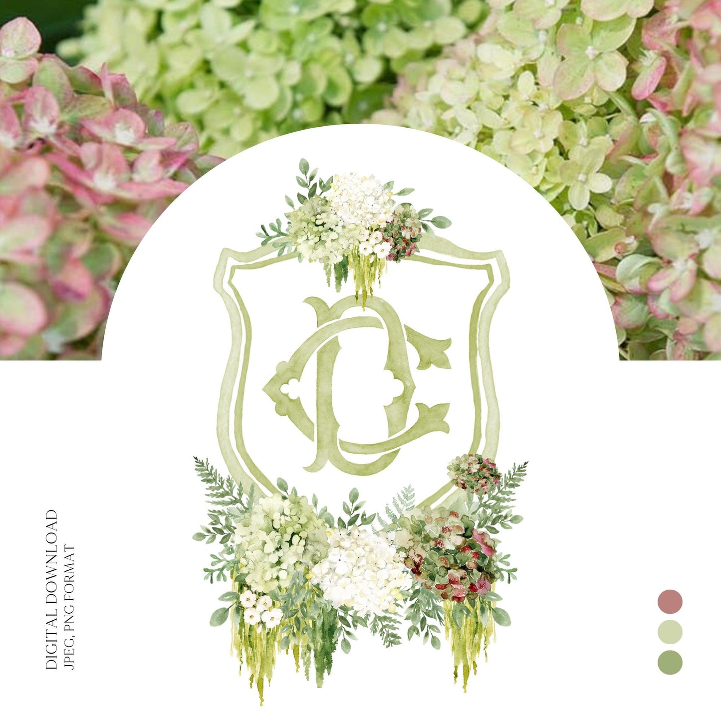 Hydrangea Macrophylla Green Flower Wedding Crest, Monogram Crest, Lush bright Greenery Floral Watercolor Wedding Crest, Hydrangea Crest
