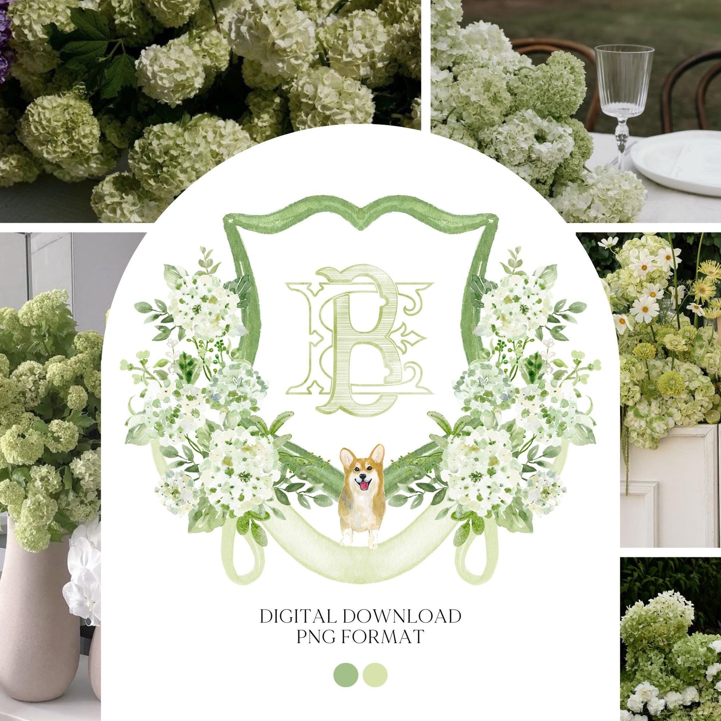 Green Hydrangea Flower Wedding Crest - Monogram Crest - Hydrangea White Floral Luxury Watercolor Wedding Crest - Romantic Wedding Crest