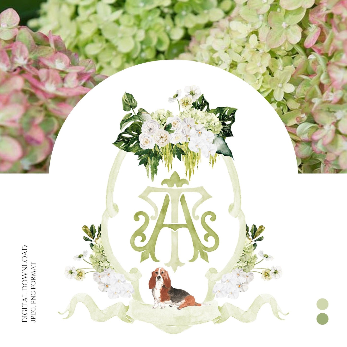 Hydrangea Macrophylla Green Flower Wedding Crest, Monogram Crest, Lush bright Greenery Floral Watercolor Wedding Crest, Hydrangea Crest